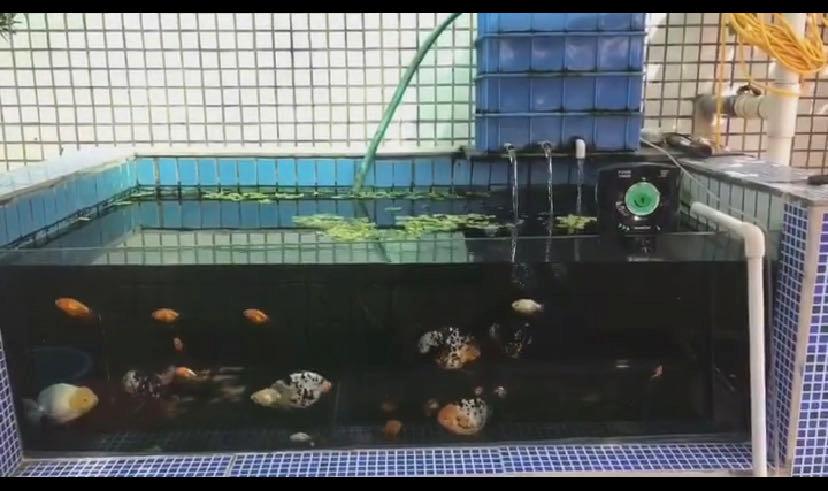 瀑布过滤器壁挂滤筒,底滤瀑布过滤怎么放滤材