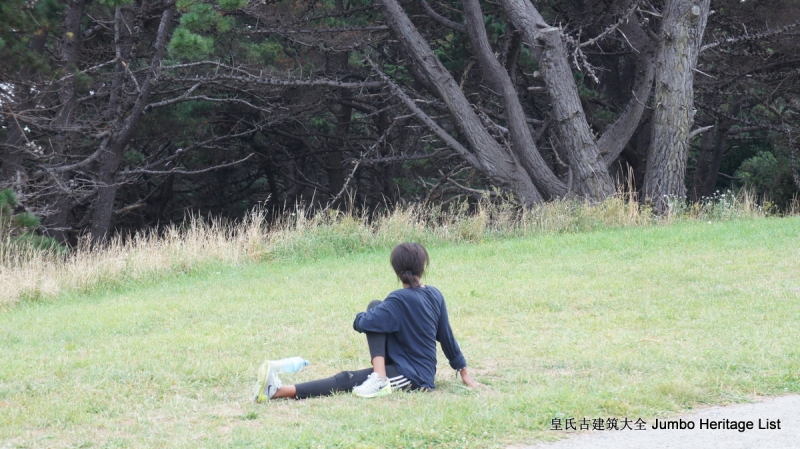 第61回：惠灵顿维多利亚山，蒂帕帕国家博物馆（上）