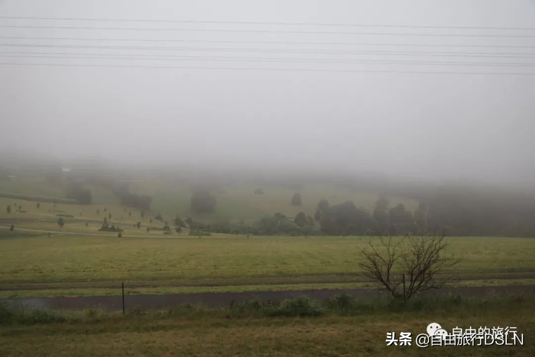 土澳,土澳新闻视频