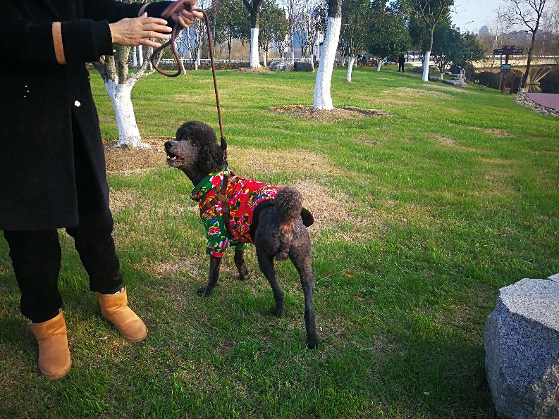 漫步河畔公园全景图,漫步公园美景