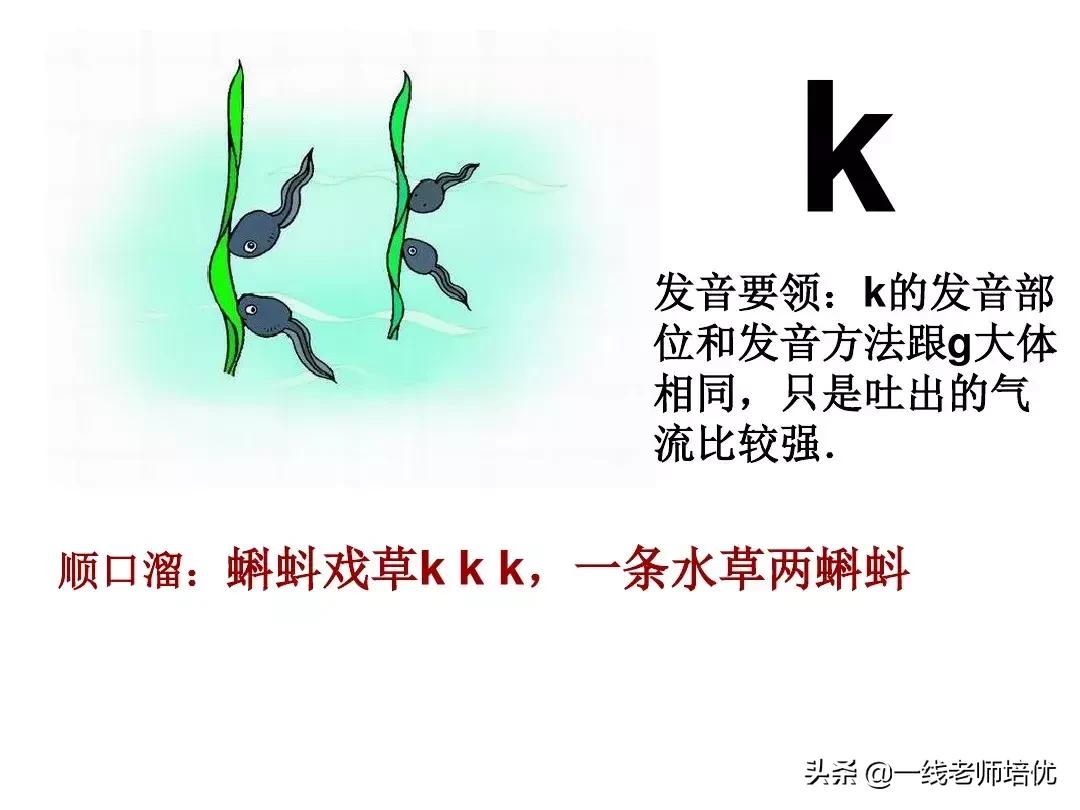 一年级汉语拼音字母表视频教程,汉语拼音字母表正确读法一年级上