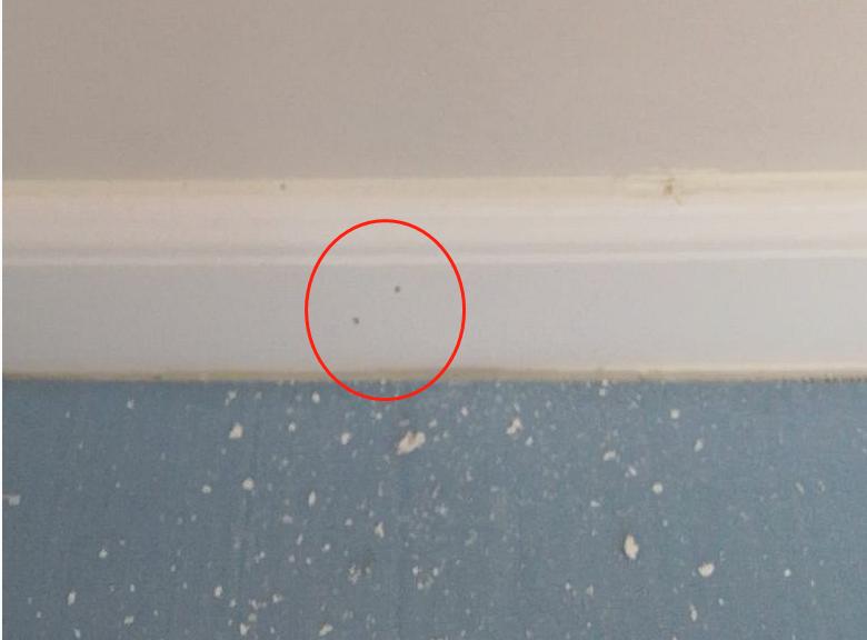 聪明人都知道的5个装修小技巧,6个你不知道的装修小知识