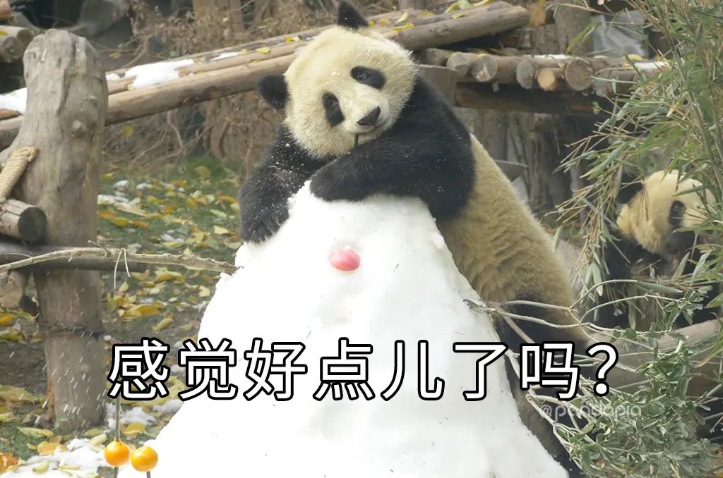 只要肯努力丑小鸭也能变成白天鹅,只要肯努力可以逆袭吗