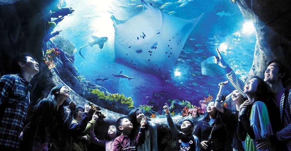 香港海洋公园门票多少钱,香港海洋公园门票票价