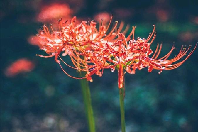 女徒弟爱上女师傅怎么办,徒弟爱上有女友的师傅