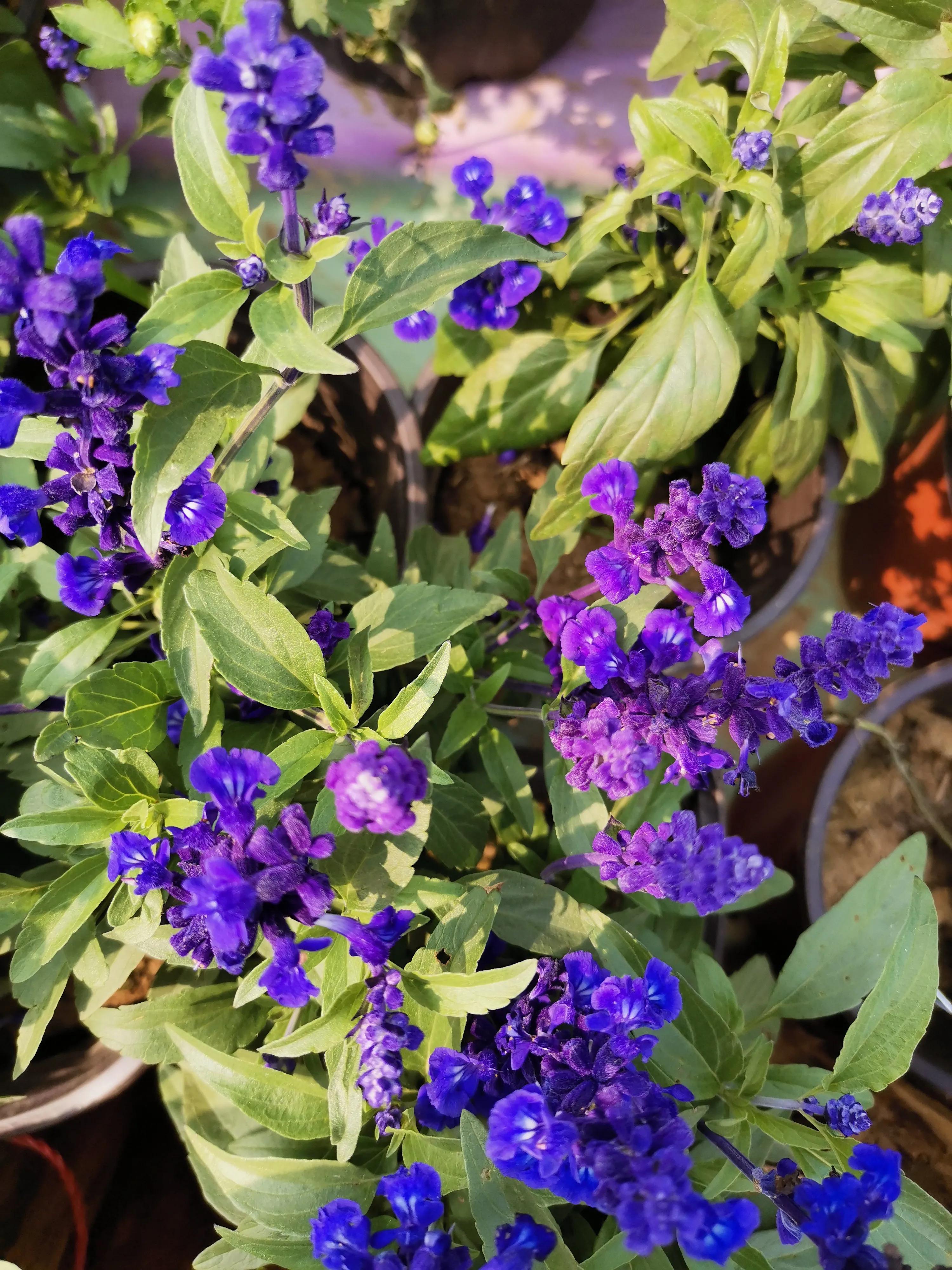 冤家路窄狭路相逢视频,冤家路窄的相遇后续