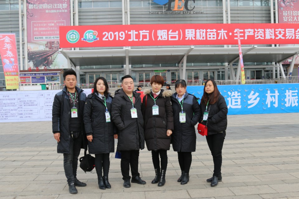 冠核核桃苗多少钱一棵,冠核核桃苗