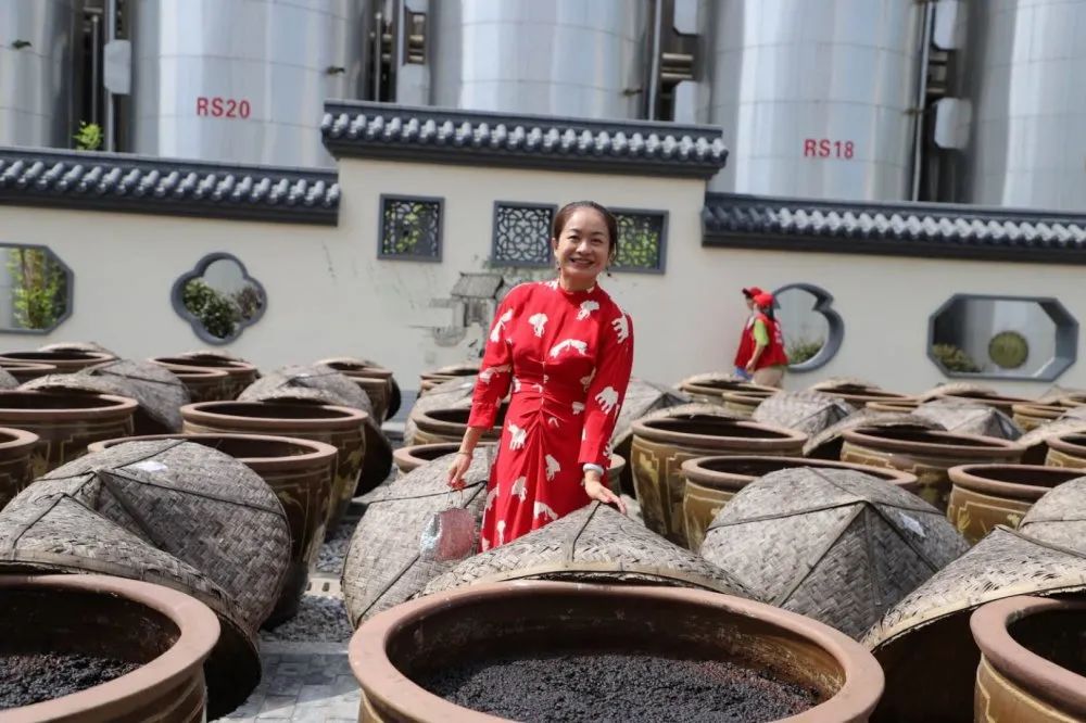 酱油瑰宝，龙牌探秘