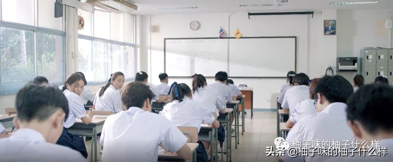 天才枪手电影在线观看免费完整版,十部熬夜必看天才枪手电影