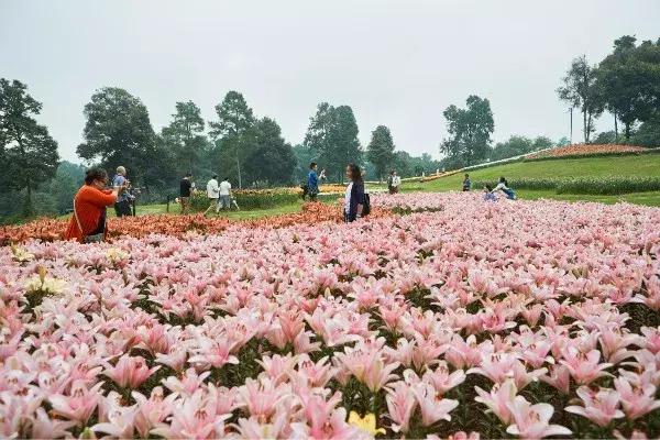石象湖景区团购,石象湖景区门票特价