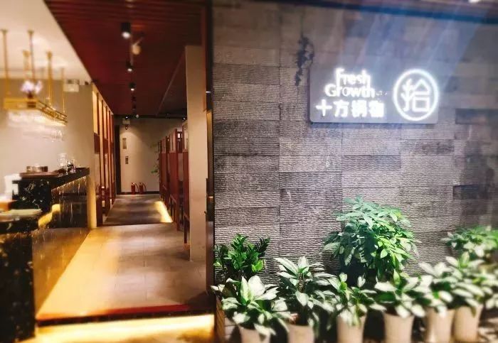 深圳适合自己一个人吃的火锅,深圳好吃的自助餐厅推荐