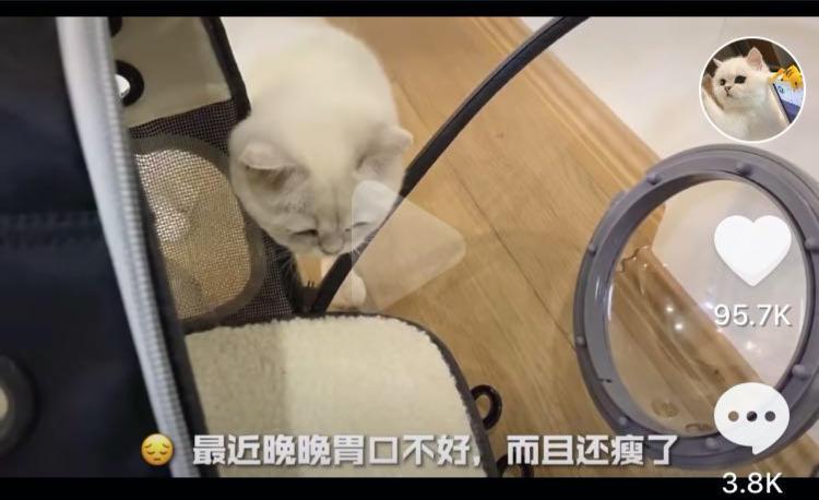 网红晚晚肾衰、胰腺异常、胆囊炎，我从中学到了什么？