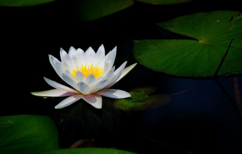 期货执行力的重要性,期货操盘规则和执行力