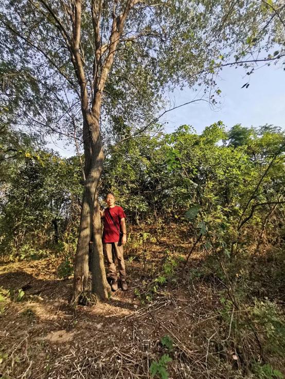 临沂郯国陵墓,山东郯城县马陵山汉代古墓群