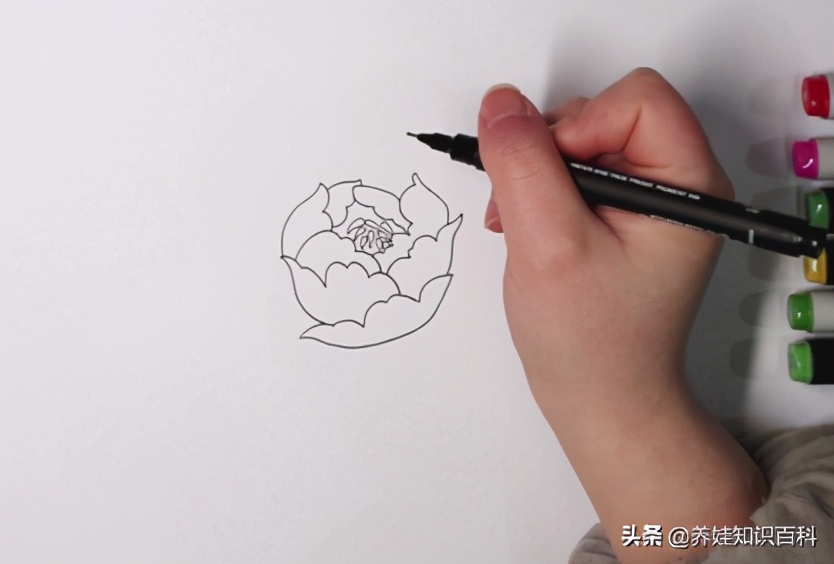 牡丹怎么画漂亮又简单马克笔画,简单画牡丹画法步骤