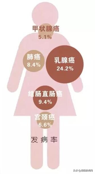 请问纯女户国家有哪些优惠政策,国家优惠政策只能享受一次吗