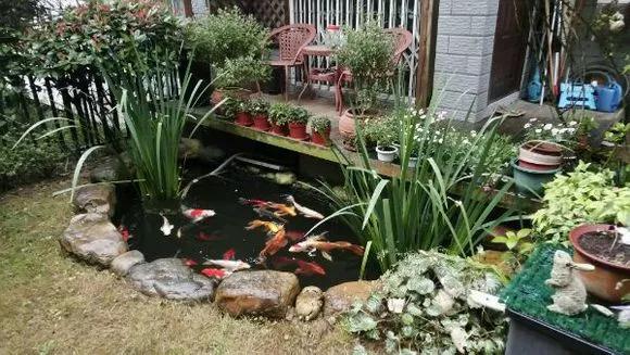 5种花不怕旱就怕涝,三种最怕缺水的花