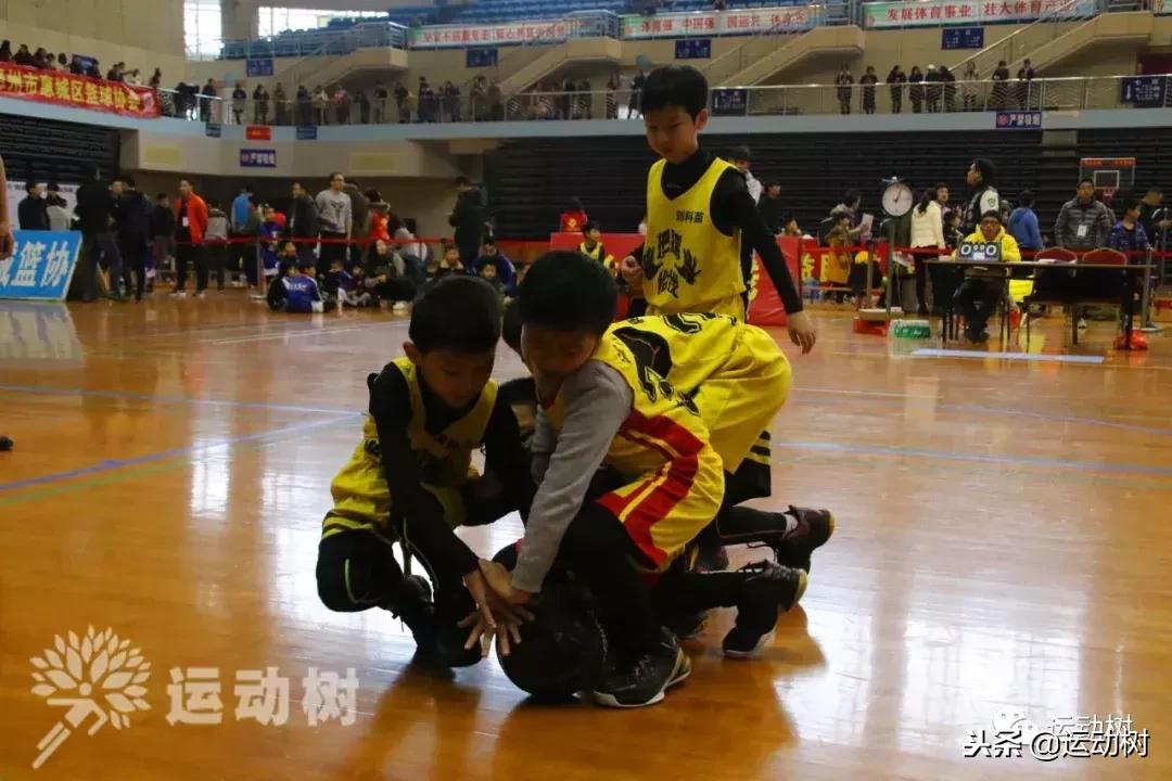 中国篮球名宿走进学校,中国篮球名宿26分