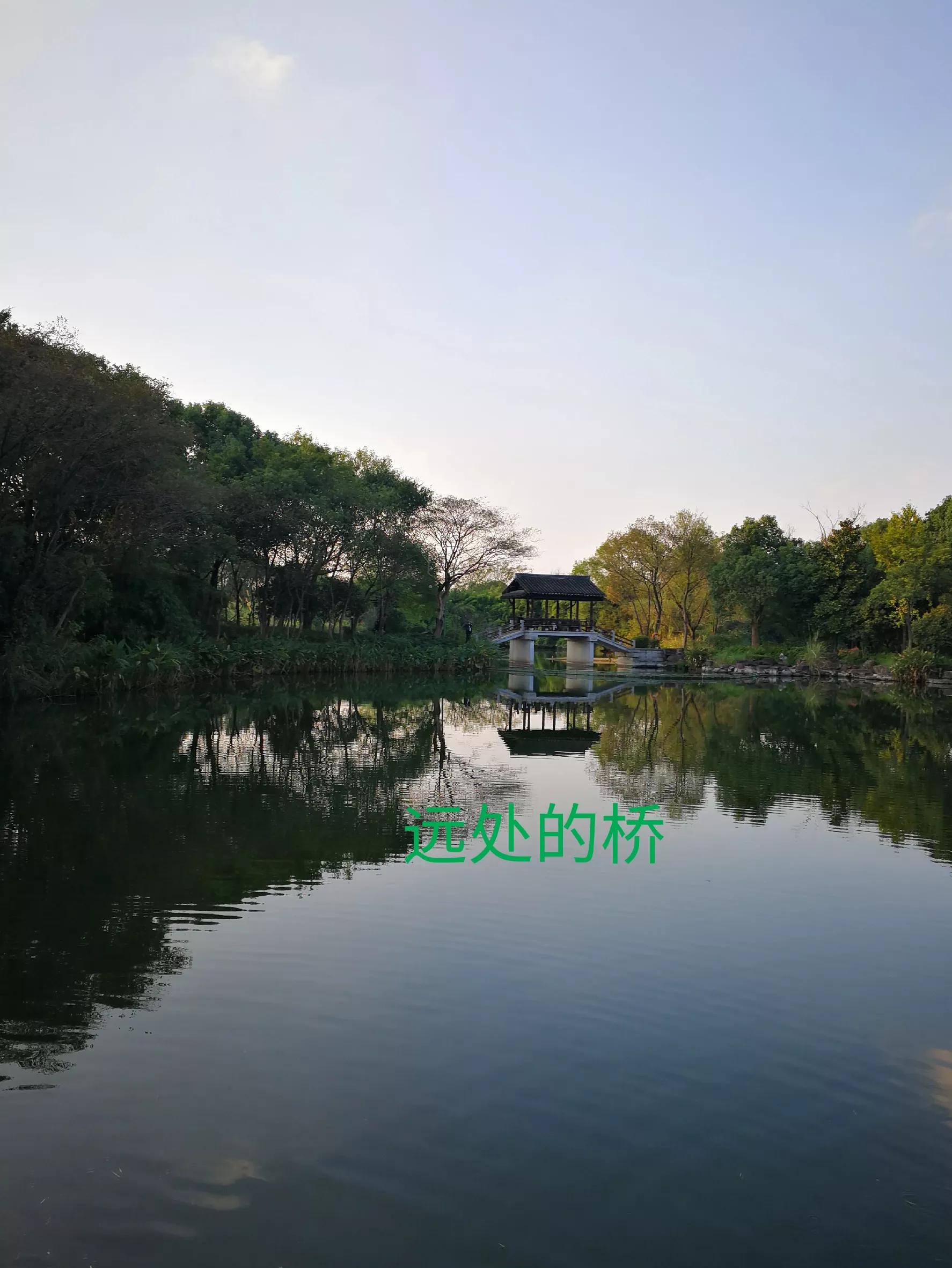 游览杭州西溪湿地,荡漾在四通八达的河道上,沁人心脾,一起看看