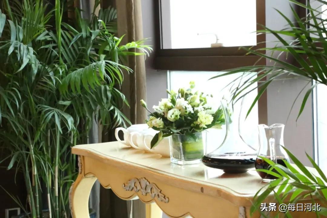 一个温暖又有趣的酒店,选择一个舒适温暖的酒店