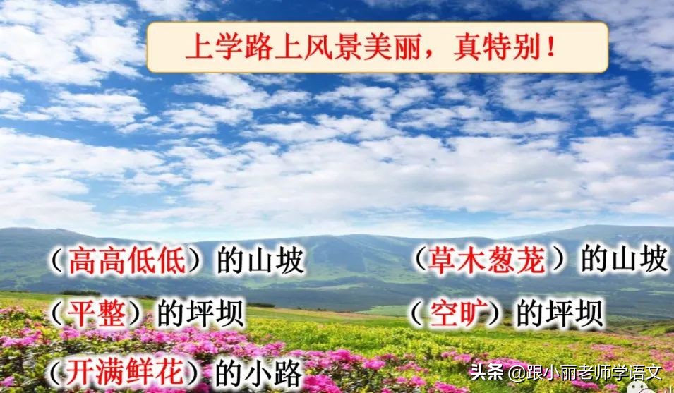 大青树下的小学重要背诵内容,大青树下的小学重点知识点