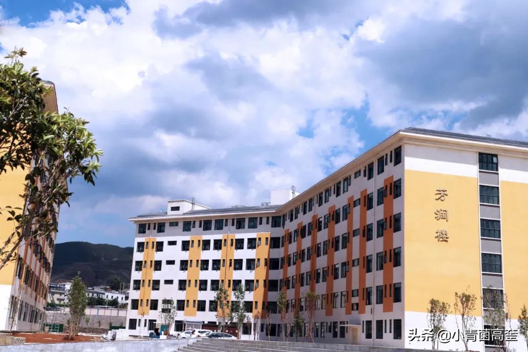 云南曲靖会泽县茚旺高中致远中学高一新生及补习班招生简章来啦