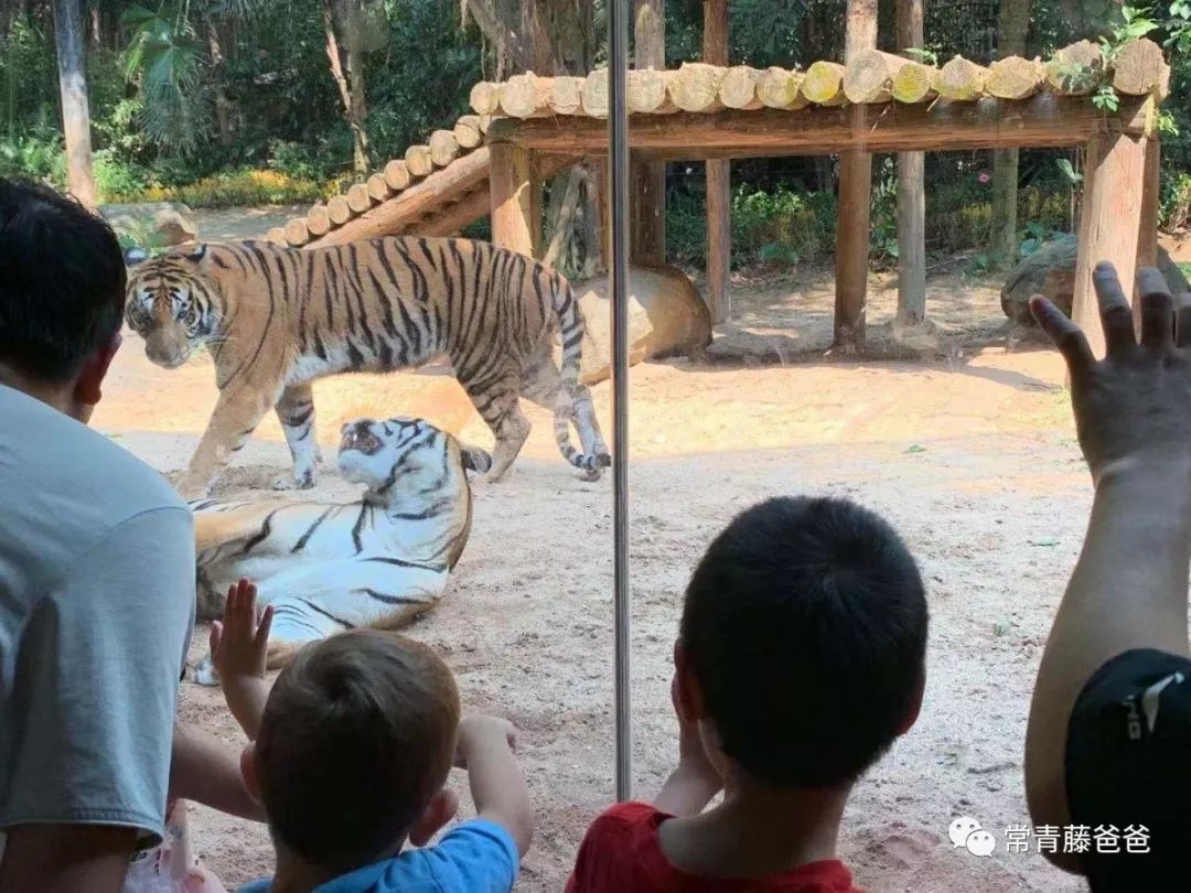 广州和珠海长隆一起玩攻略,广州珠海长隆旅游攻略5天四晚
