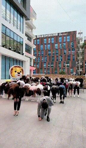 辛巴怎么样了啊,辛巴老铁视频完整版