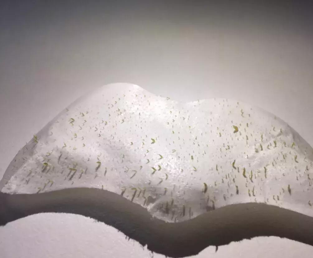 小红书推荐好物,小红书点赞收藏破千