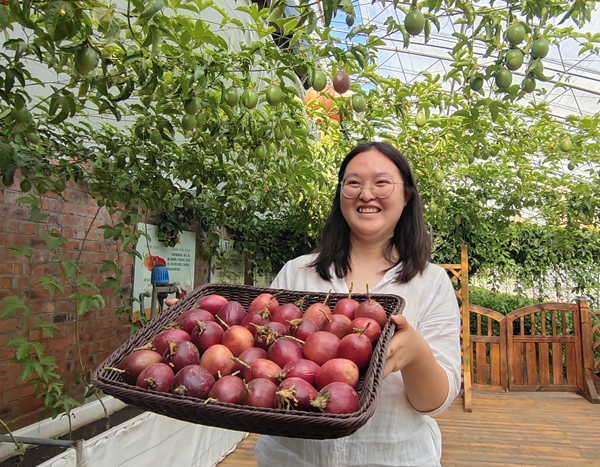 今日铁岭新闻联播,铁岭县新闻今日