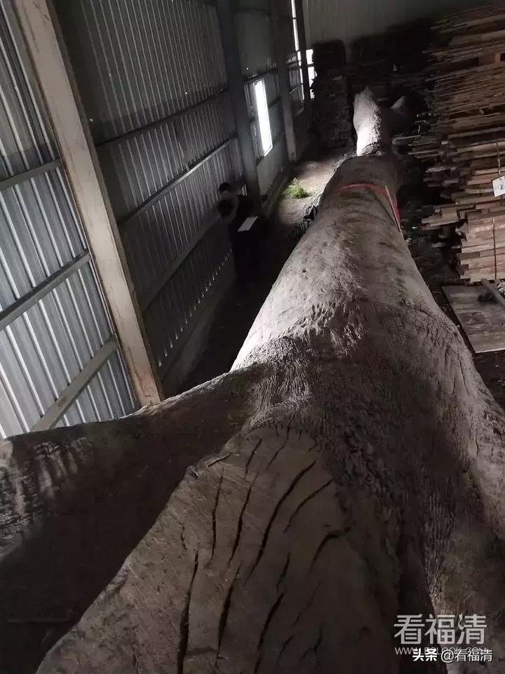 福清老板拥有的一根破烂木头，能值600万？