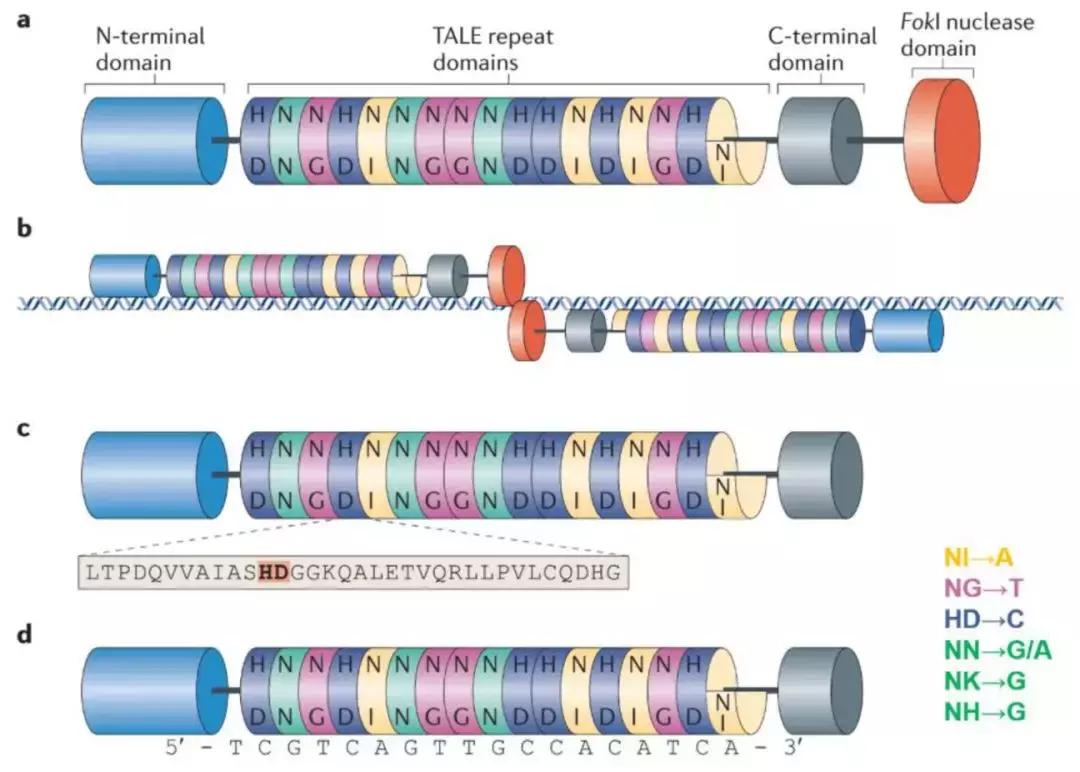 基因编辑值得投资吗,基因检测行业如何分析