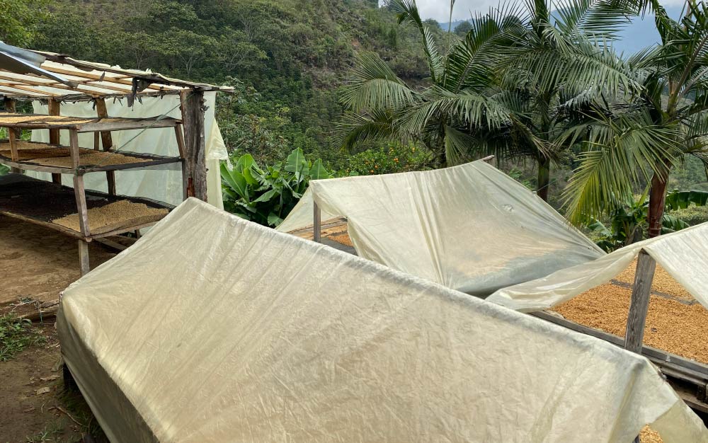 哥伦比亚咖啡属于什么档次,哥伦比亚咖啡和曼特宁咖啡区别