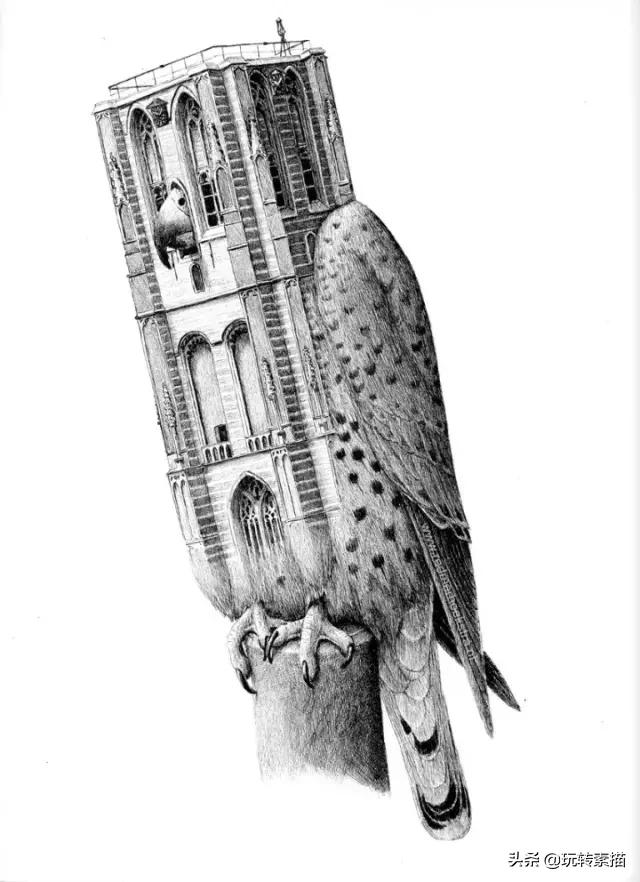 小清新素描黑白插画,看似抽象实则写实的画