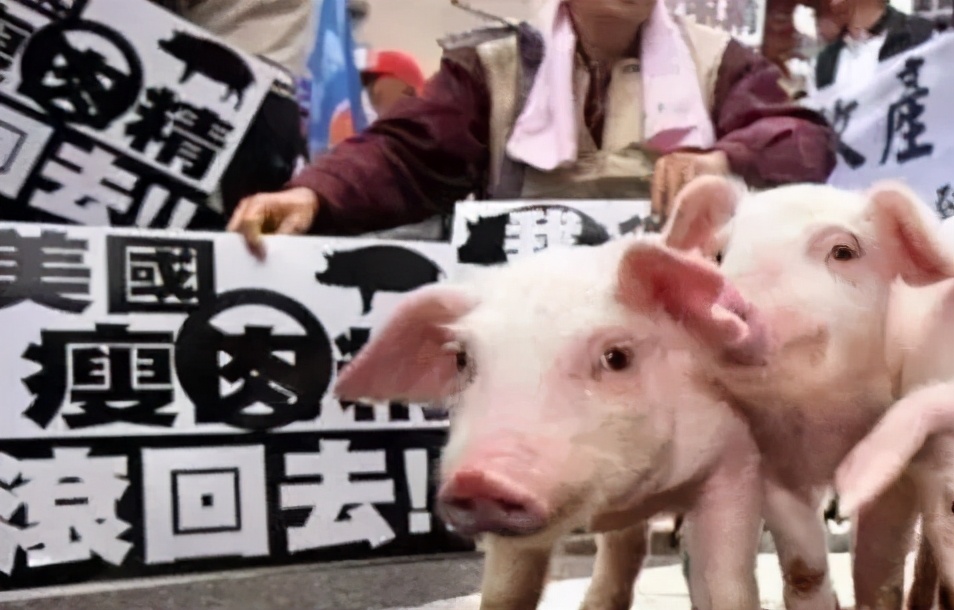 *进党民**节节败退，国民*党**的春天到了？