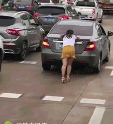 搞笑动图gif图片哪里下载,搞笑动图gif狗