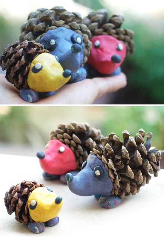 小孩爬山捡松果,带孩子爬山路上捡松果