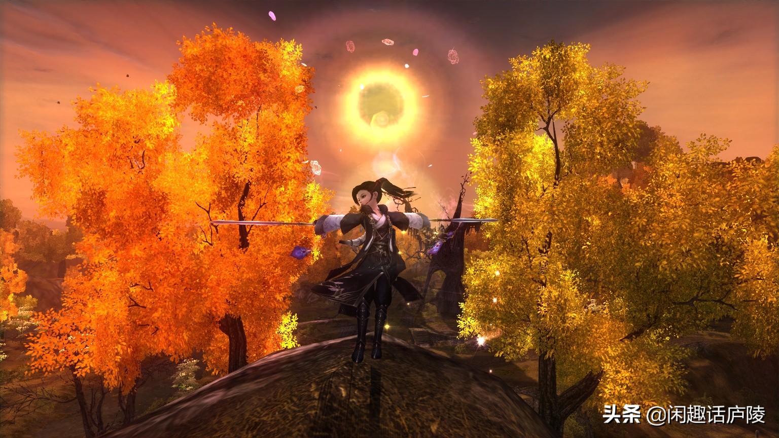 剑网三萌新pve每天怎么玩,剑网三刀宗周流pve秘籍