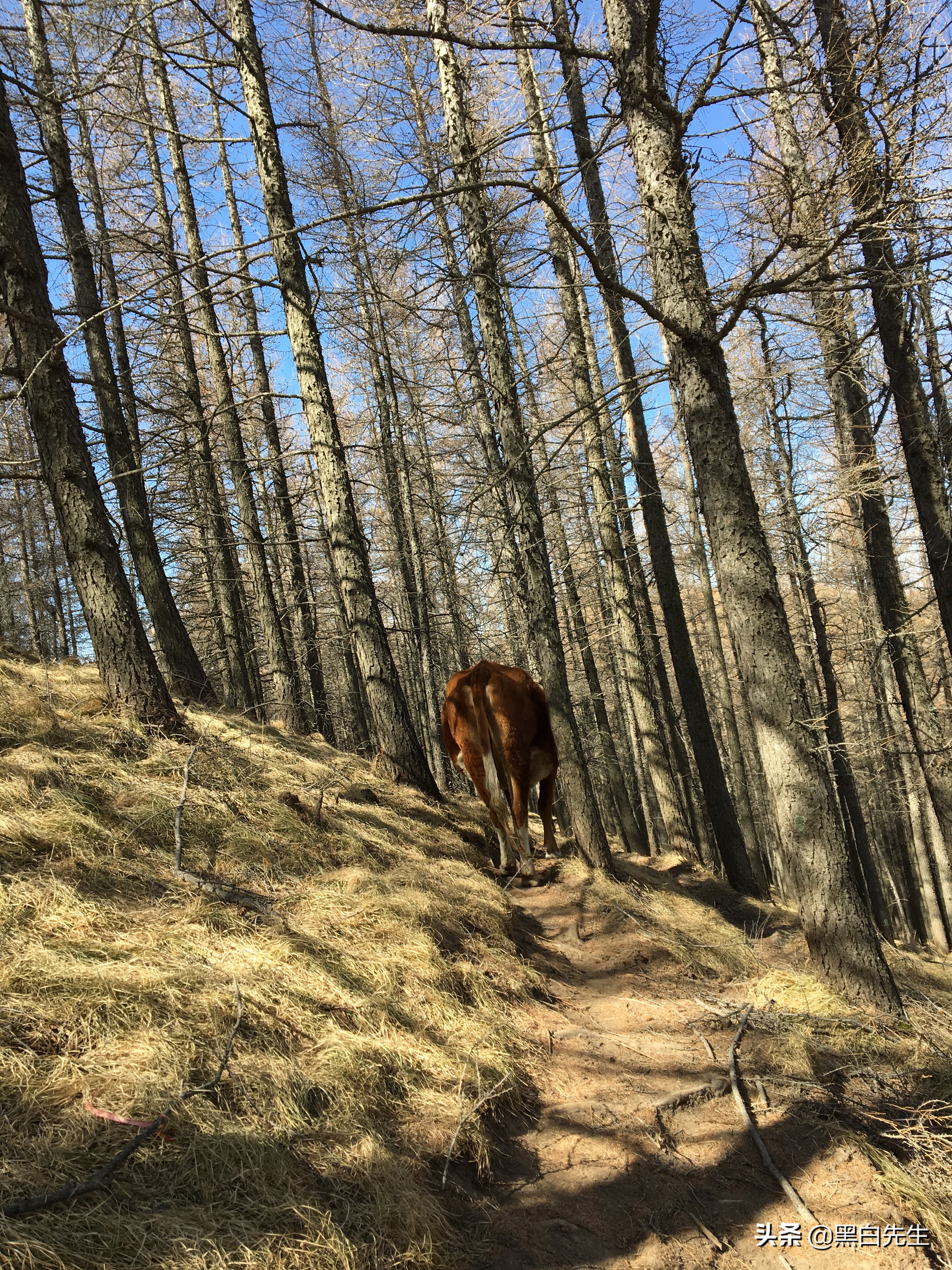 五台山轻装徒步攻略,五台山一日徒步