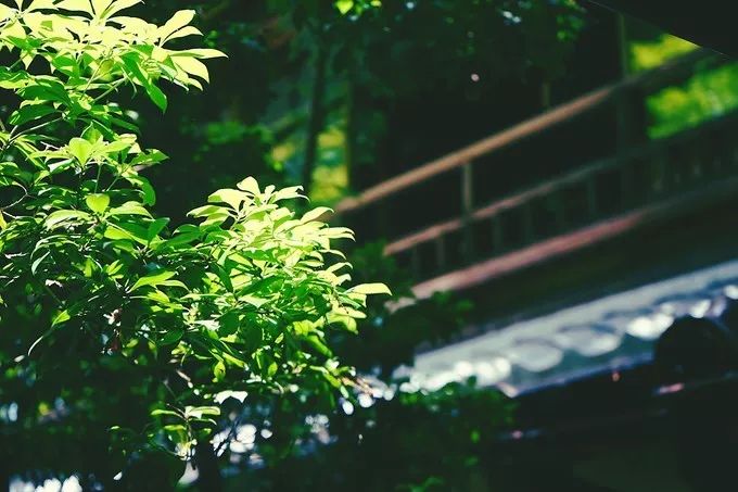 不一样的大阪三日游，瑠璃一束光，值得一来再来