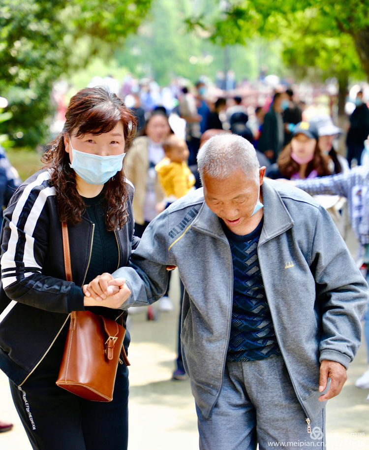看洛阳牡丹花卉节,洛阳古都牡丹花展