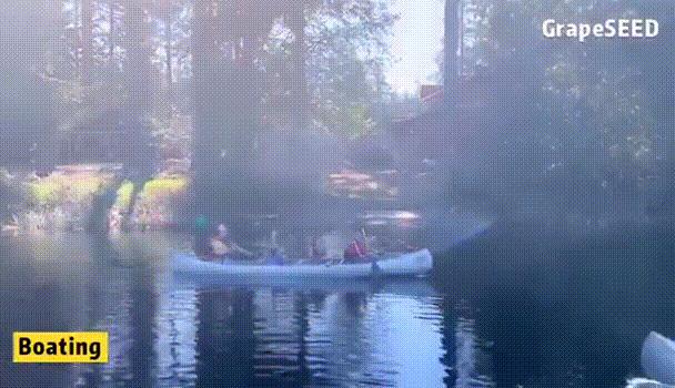 美国夏令营葡萄籽,国际游学夏令营美国