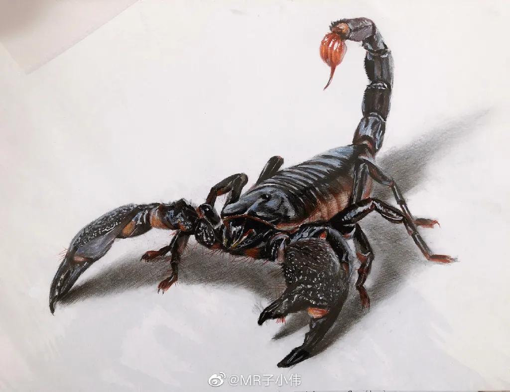 厉害了！他用一支铅笔把明星画了多个，如肖战、蔡徐坤、迪丽热巴