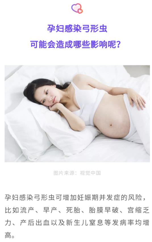 怀孕养宠物，能养，猫狗没有“弓形虫”没问题