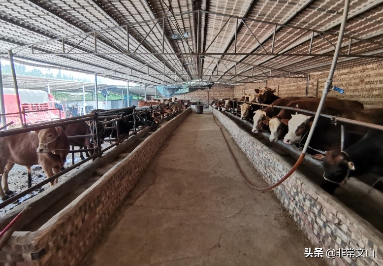 “暖男”刘柱祥：一心一意为家乡谋福利