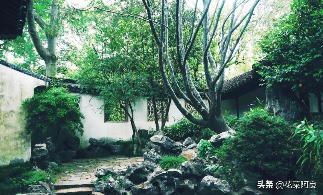 留园拙政园哪个景色好,留园和拙政园