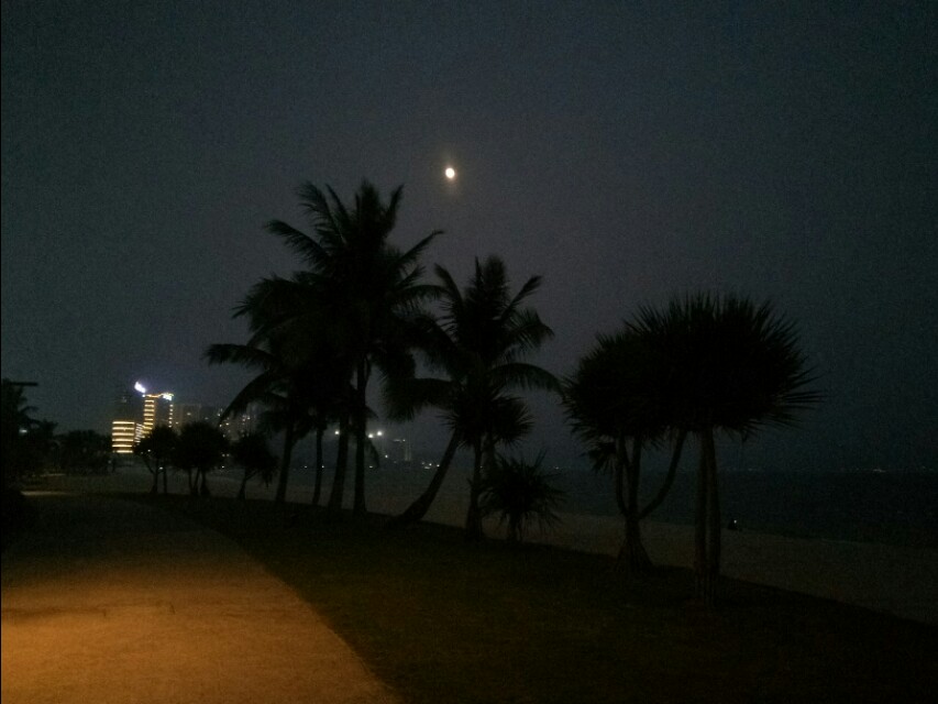 智者乐山仁者爱水如诗,智者乐山仁者爱水视频