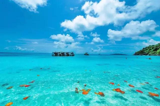 去普吉岛旅游攻略详细 (个人旅游普吉岛攻略)