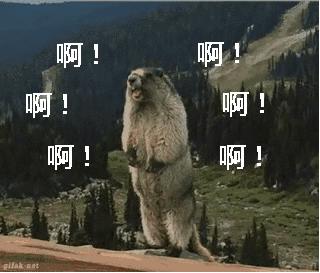 微信已支持改微信号,微信可以改微信号