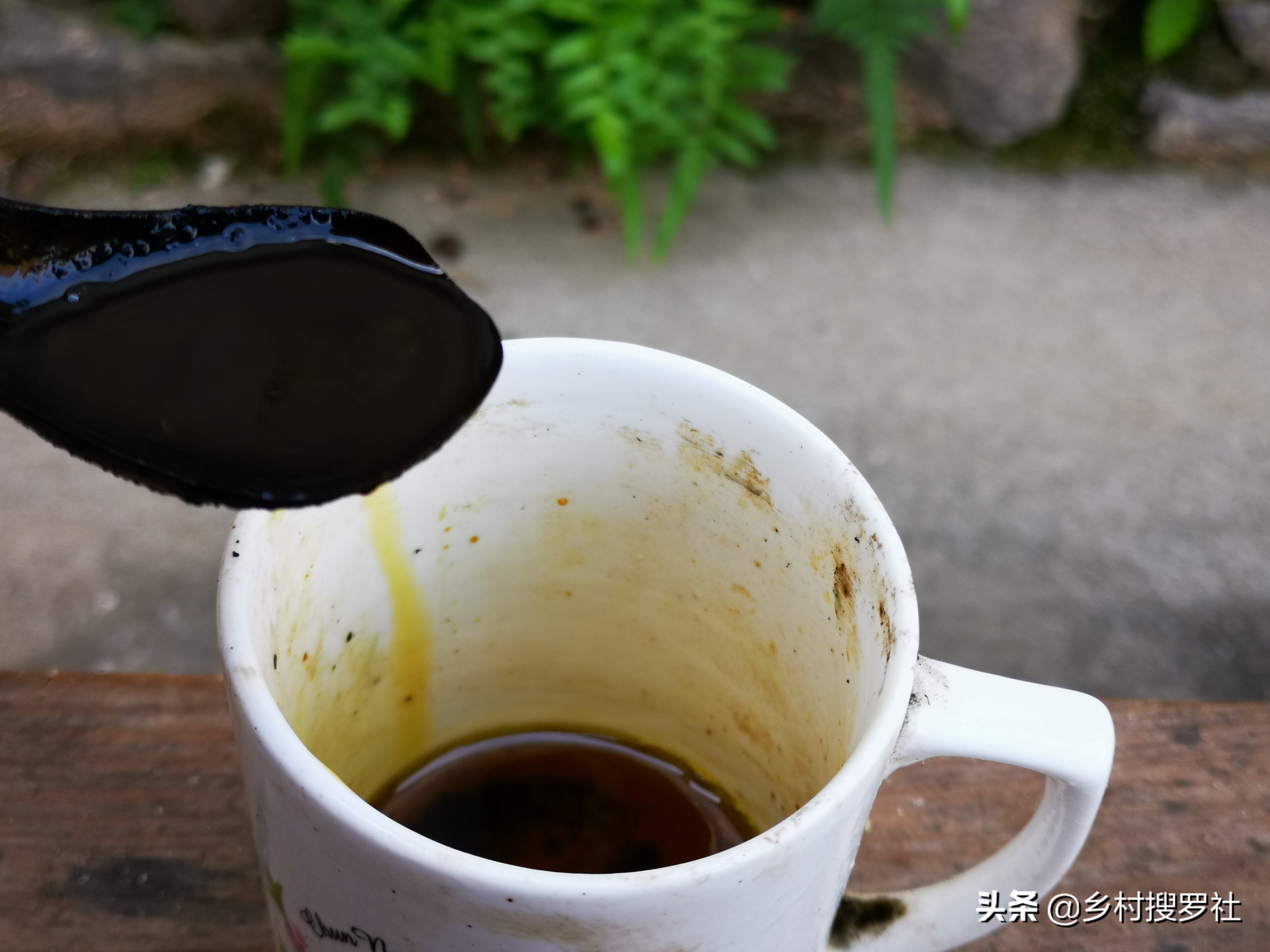 兰花种植用什么肥料,兰花现在应该用什么肥好